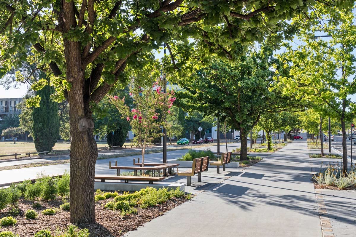 Paved urban walking path lined with trees in a city neighborhood